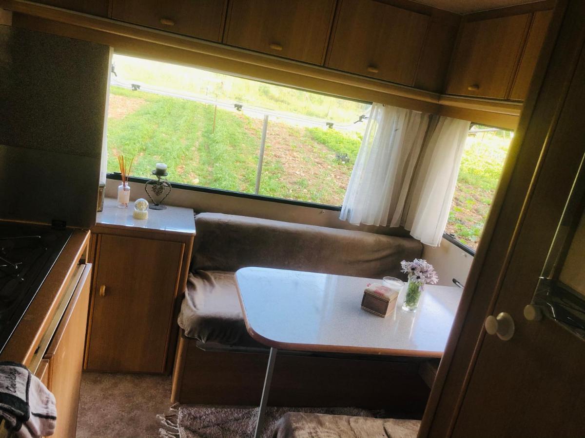 La Ferme De Rotani Hotel Aléria Eksteriør billede