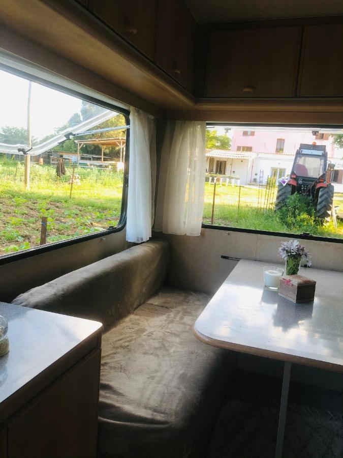 La Ferme De Rotani Hotel Aléria Eksteriør billede
